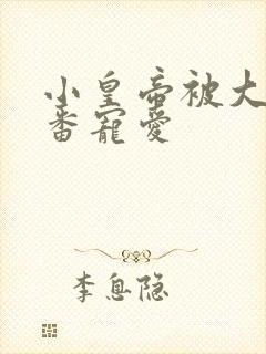 小皇帝被大臣轮番宠爱