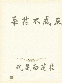 采花不成反被采