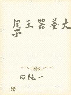 用玉器养大的皇子