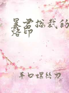 暴君总裁的狂烈烙印