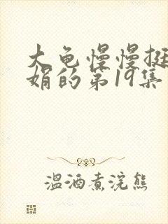 大龟慢慢挺进张娟的第19集