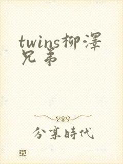 twins柳泽兄弟