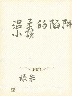 温柔的陷阱周芸小说