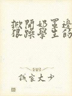 掀开奶罩边躁狠狠躁学生的小文字