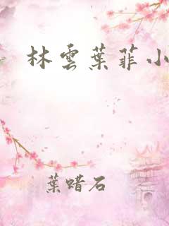 林云叶菲小说