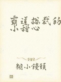 霸道总裁的宠爱小甜心