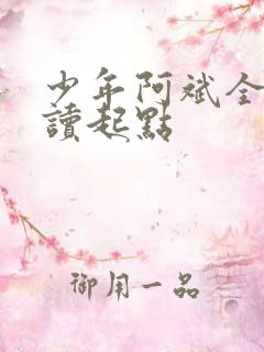 少年阿斌全文阅读起点