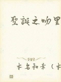 圣诞之吻里沙篇