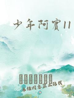 少年阿宾11