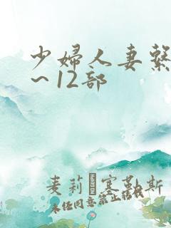 少妇人妻系列1～12部