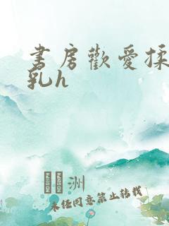 书房欢爱揉捏娇乳h