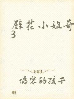 壁花小姐奇遇记3