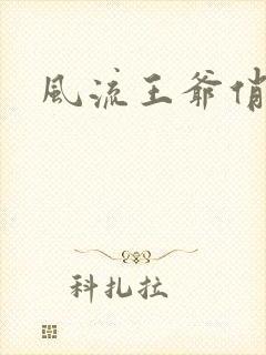 风流王爷俏相公