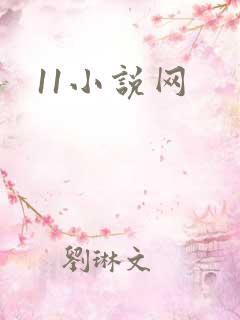 11小说网