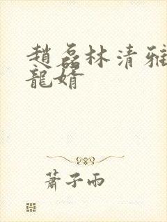 赵磊林清雅上门龙婿