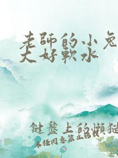老师的小兔子好大好软水