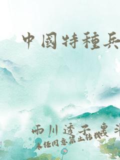 中国特种兵小说