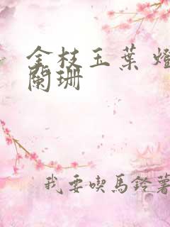 金枝玉叶 灯火阑珊