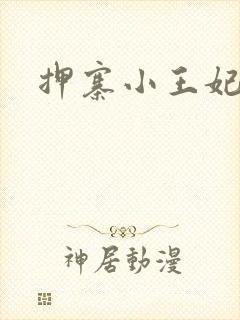押寨小王妃
