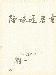 陪嫁通房重生记