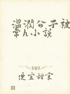 温润公子被脔日常h小说