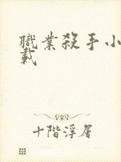 职业杀手小说下载