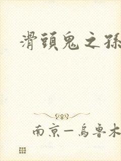 滑头鬼之孙下载