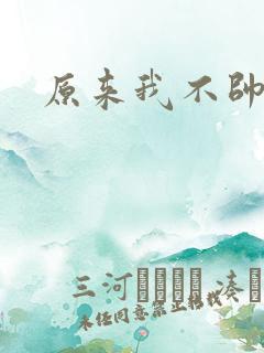 原来我不帅小说