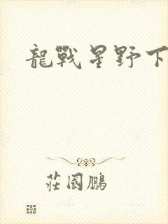 龙战星野下载