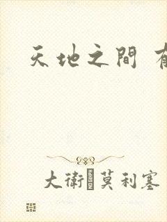 天地之间 有声