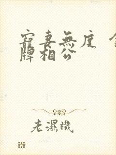 宠妻无度  金牌相公