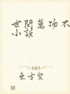 世间万物不及你小说