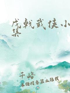 戊戟武侠小说全集