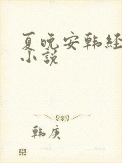 夏晚安韩经年的小说
