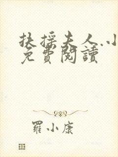 扶摇夫人.小说免费阅读