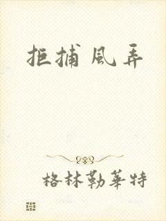 拒捕 风弄