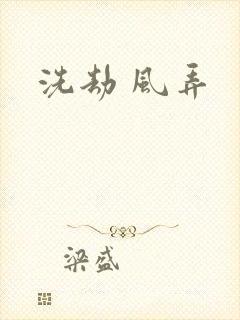 洗劫 风弄