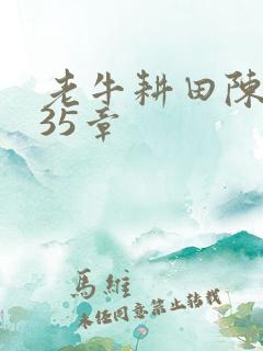 老牛耕田陈雪435章