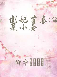 侧妃有喜:公主是小妾