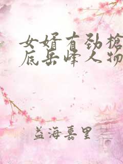 女婿有劲枪枪到底岳峰人物小说