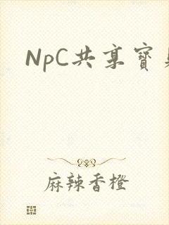 NpC共享宝贝