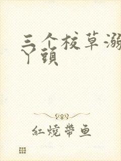 三个校草溺爱拽丫头