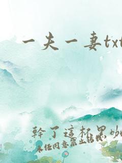 一夫一妻txt