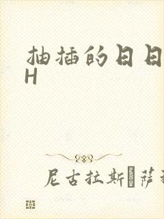 抽插的日日液液H