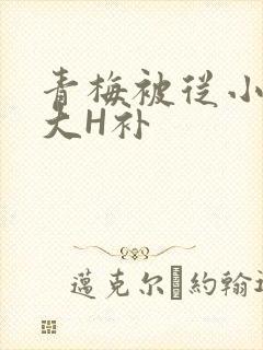 青梅被从小摸到大H补