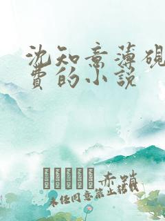 沈知意薄砚霆免费的小说