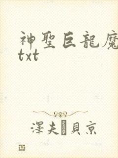 神圣巨龙魔法师txt