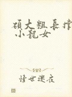 硕大粗长撑裂了 小龙女