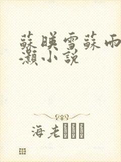 苏映雪苏雨柔苏灏小说