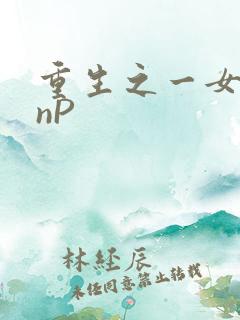 重生之一女九龙nP